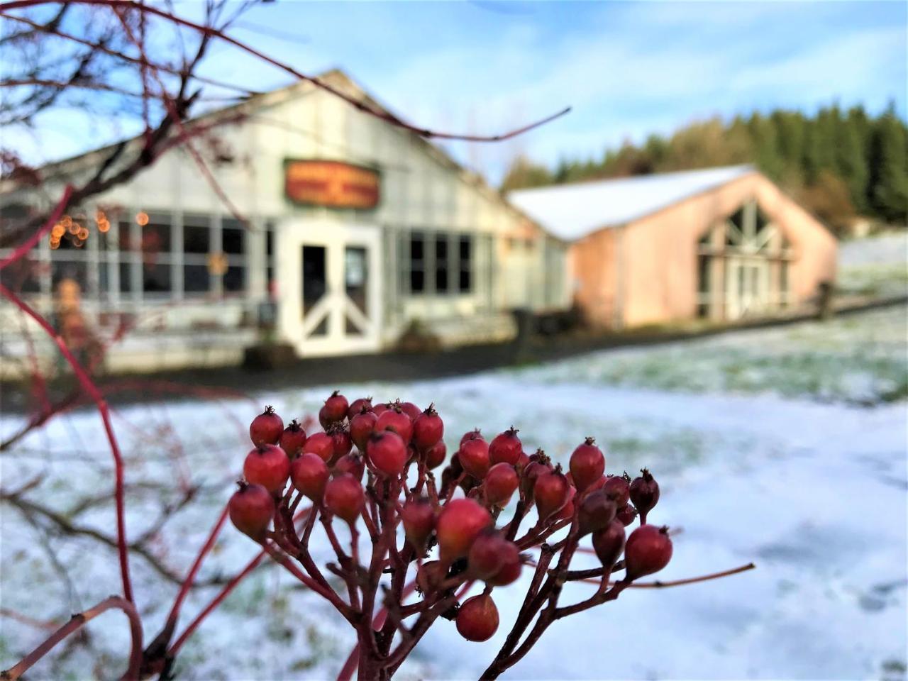 Solheimar Eco-Village Guesthouse Exteriör bild